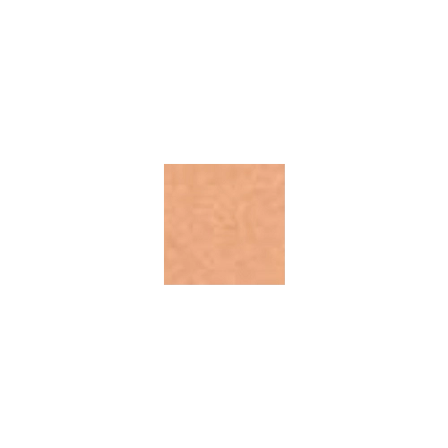 Clarins Tinted Oleo-Serum