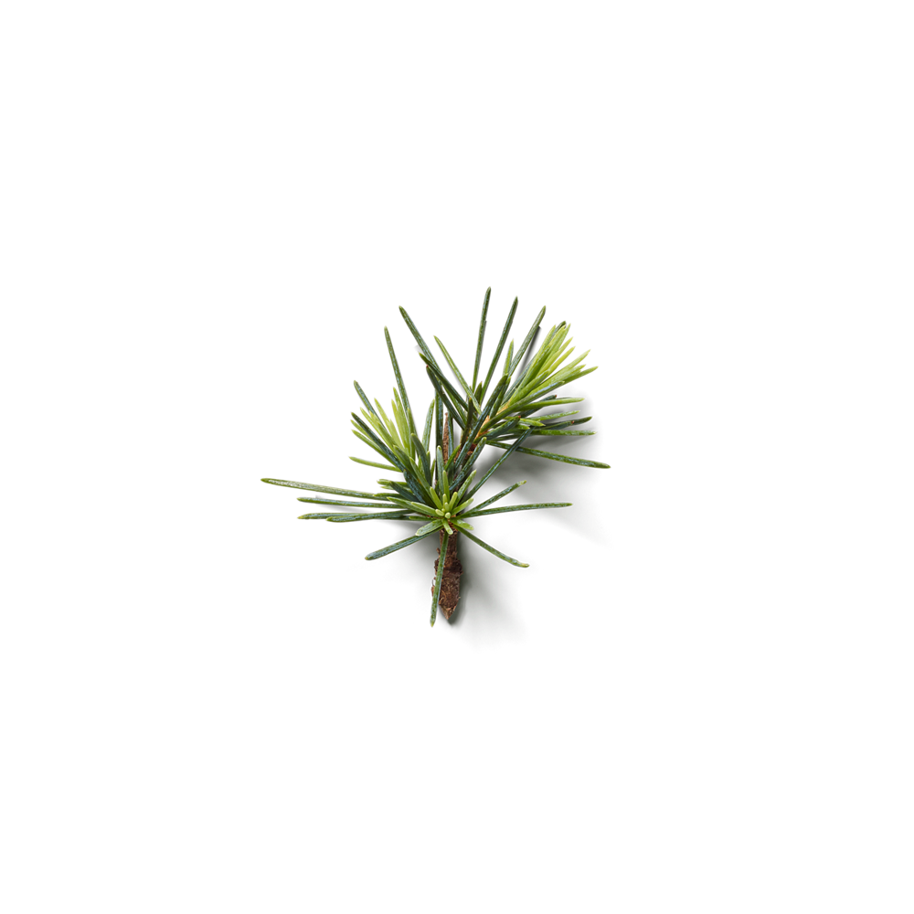 Rituals Život je putovanje - Više mirisa za auto