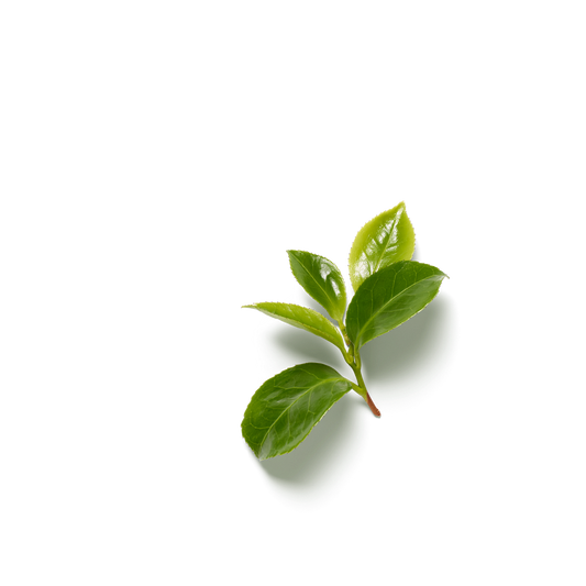 Ritual Maglica za tijelo Ritual Karme