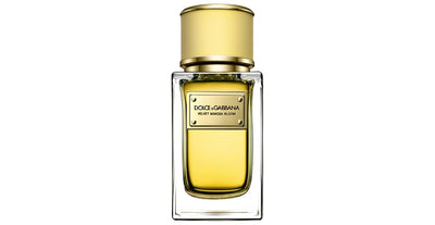 Dolce & Gabbana Velvet mimosa bloom edp