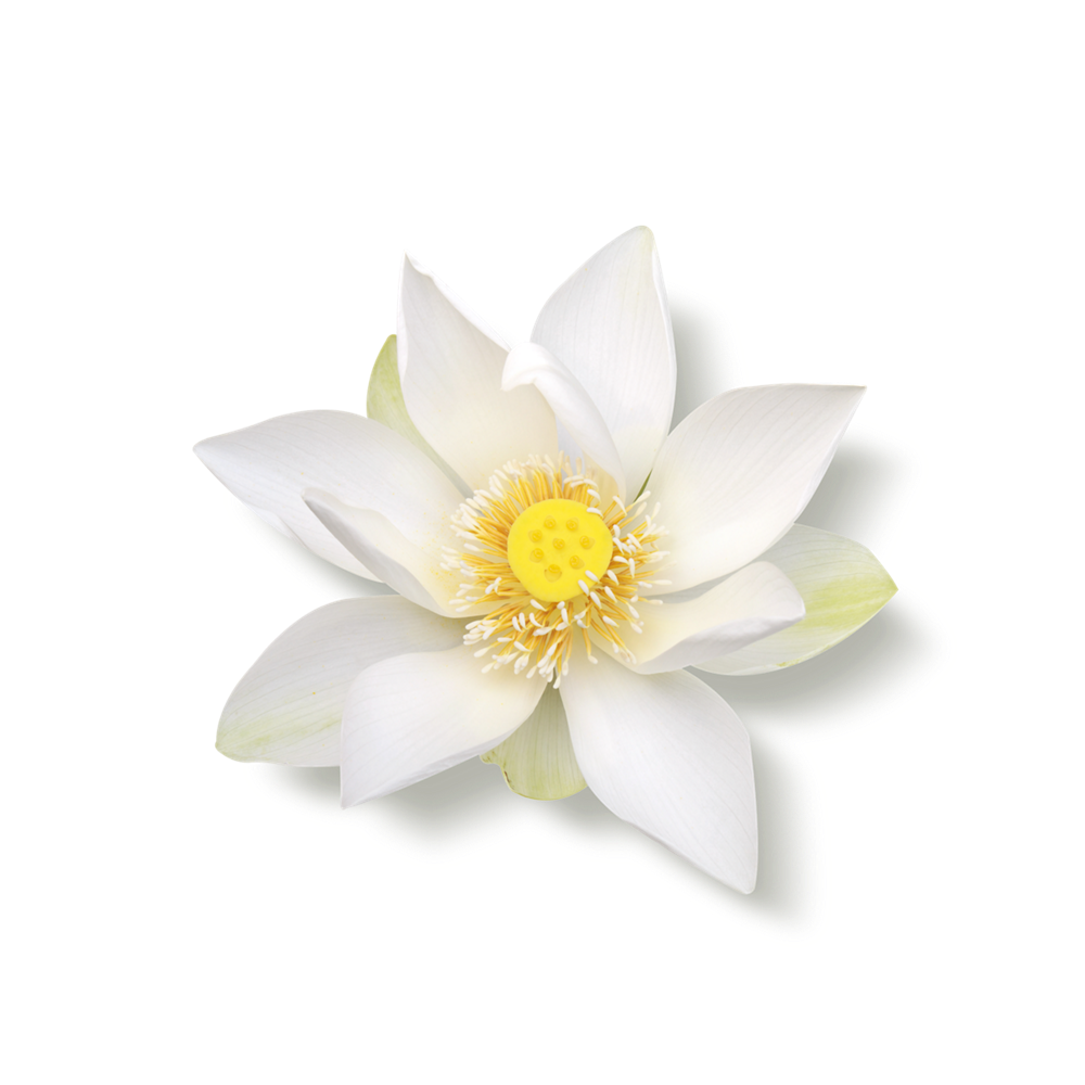 Rituals Ritual of Jing pjena za tuširanje