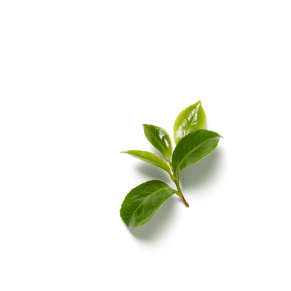 Rituals Mirisni štapići Ritual of Karma