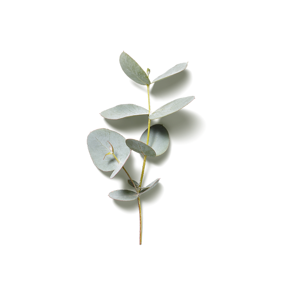 Rituals Ritual hamam pjene za tuširanje