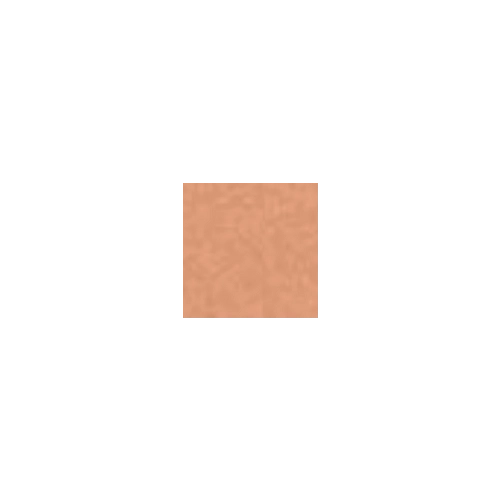 Clarins Tinted Oleo-Serum