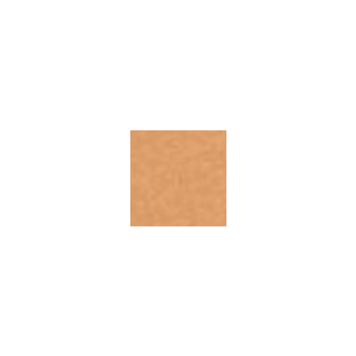 Clarins Tinted Oleo-Serum