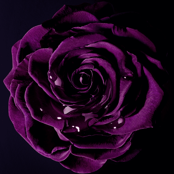 Lancome La Nuit Trésor