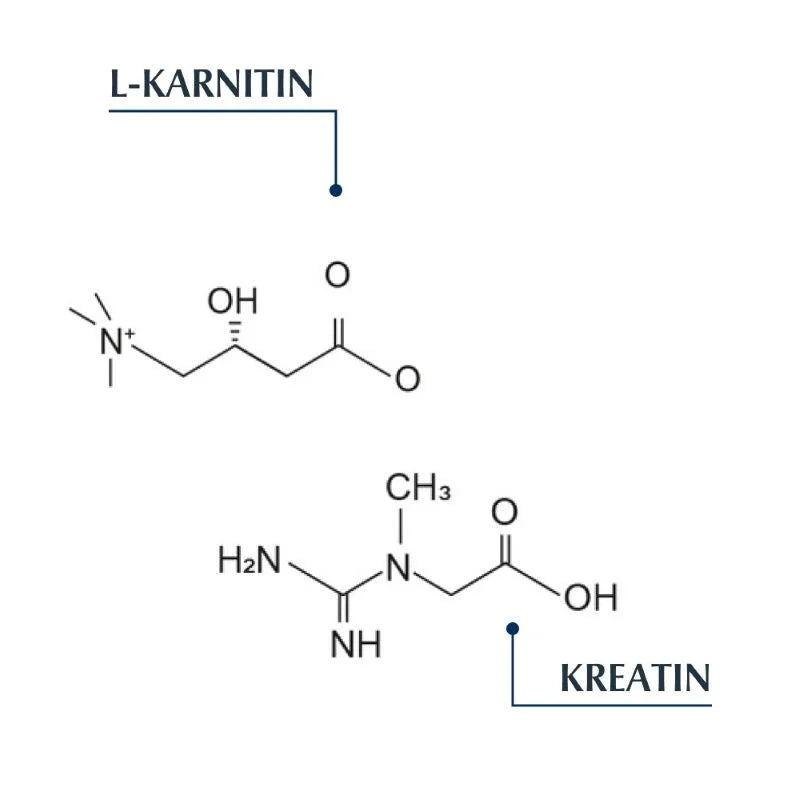 Eucerin DermoCapillaire Revitalizirajući šampon 250ml