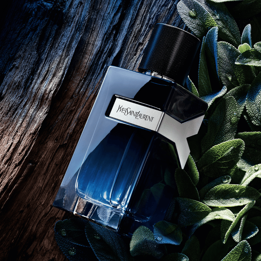 Yves Saint Laurent Y EDP