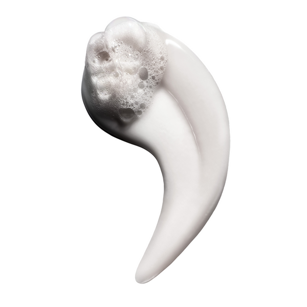 L'Oréal Professionnel Absolut Repair šampon 500ml (refil)