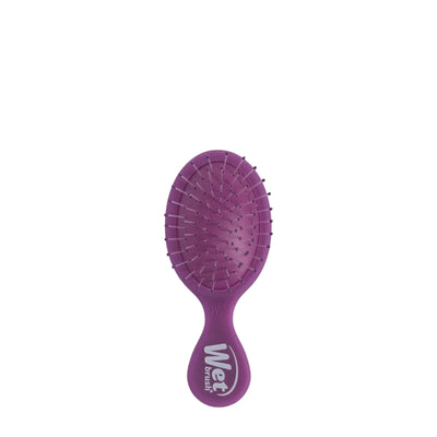 Wet Brush Mini Detangler
