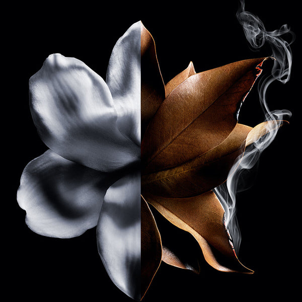 Givenchy L’Interdit Absolu Eau de Parfum Intense