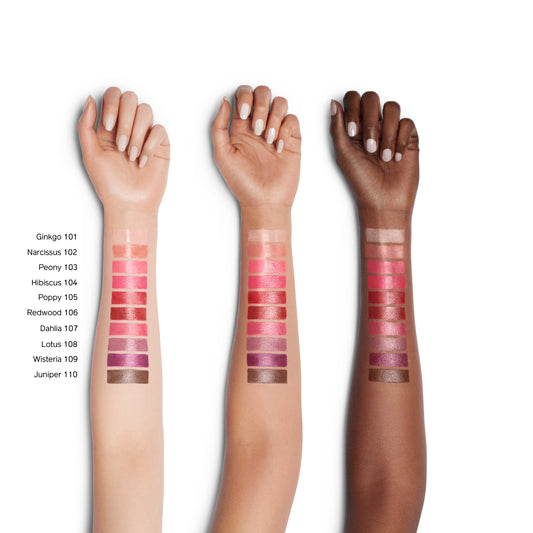 Shiseido Colorgel Lip Balm