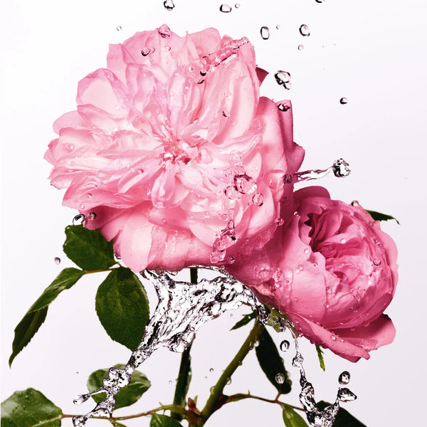 Miss Dior Rose Essence Eau de Toilette