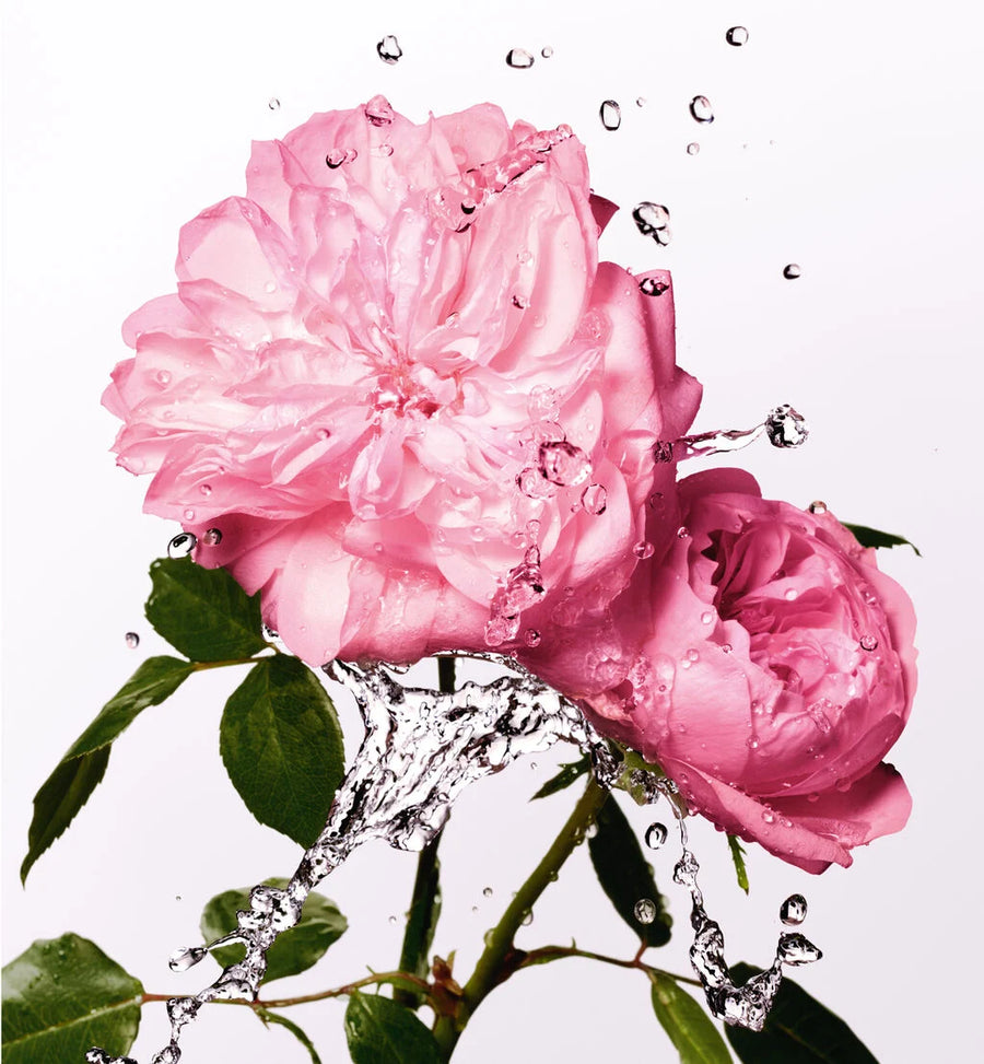 Miss Dior Rose Essence Eau de Toilette