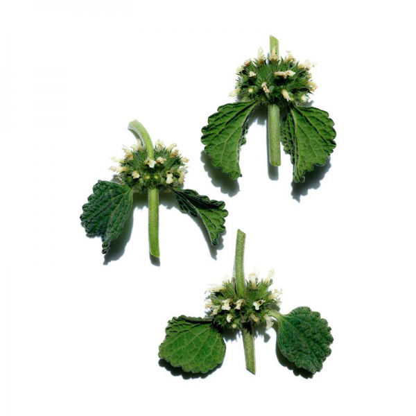 Clarins Total Eye Hydrate