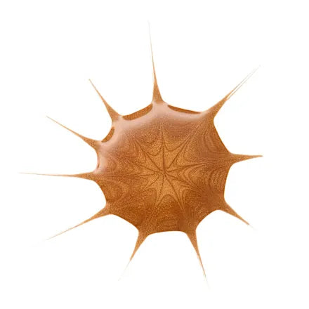 Essence Drop Of Sunshine Bronzing Kapi