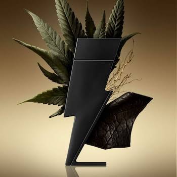 Carolina Herrera Bad Boy Le Parfum
