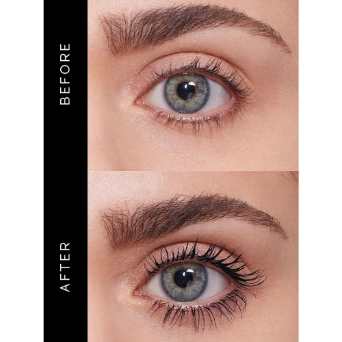 Shiseido Mascara Ink Controlled Chaos