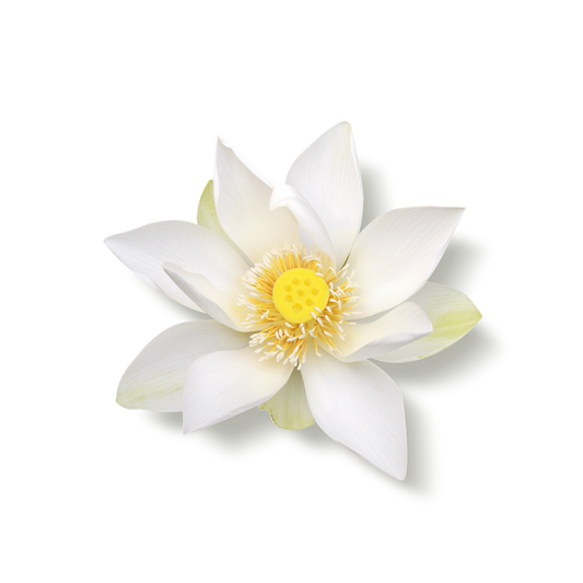 Rituals The Ritual of Jing Body Cream